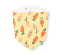 Kite Happy Carrot Bib