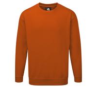 Kite Sweatshirt - Orange - XL