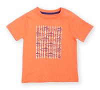 Kite Trout and About T-Shirt