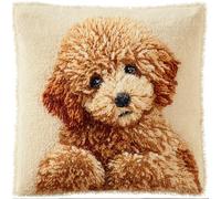 kitphoenix DIY Latch Hook Kits, Poodle 3D Pillow Materials Package Latch Hook Embroidery Kits Cross Stitch Sofa Cushion Cover with Tool Fit for Kids and Adults 17X17Inch