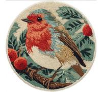 kitphoenix DIY Latch Hook Rug Kit for & Adults -Robin On A Branch 20X20Inch (50X50Cm) Cross Stitch Carpet Making Crochet Embroidery Needlework Crafts - Home Decor Project