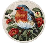 kitphoenix Latch Hook Rug Kit DIY Rug Making Craft for Kids Adults with Color Printed Canvas Robin and Flower 20X20Inch (50X50Cm) Pattern Crochet Embroidery Carpet Set Home Decor