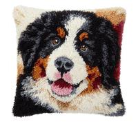 kitphoenix Latch Hook Rug Making Kit for Cushion 43x43 cm,Bernese Mountain Dog,DIY Craft Set with Colour Printed Canvas,Pre-Cut Yarn,Crochet Hook and Instructions