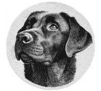 kitphoenix Round DIY Latch Hook Rug Kits Animal Dog 20X20Inch (50X50Cm) Easy for Beginners Round Carpet Crochet Yarn Craft Large Rug Hook and Latch Tapestry for Home Decor