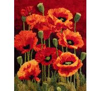 Kitquiver Latch Hook Kits for Adults Beginners Rug Poppy Flowers DIY Crochet Yarn Embroidery Handmade Needlework with Printed Canvas for Home Decoration