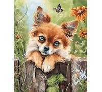 Kitquiver Latch Hook Kits for Adults Beginners Rug Smile Chihuahua Lying On The Fence 31X45In/80X115Cm DIY Crochet Yarn Embroidery Handmade Needlework with Printed Canvas for Home Decoration