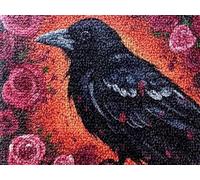 Kitquiver Latch Hook Kits for Adults Rug Black Crow Bird Crafts Crochet Yarn with Pre-Printed DIY Handmade Embroidery Needlework for Home Decoration