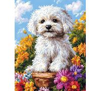 Kitquiver Latch Hook Rug Kits for Adults Beginners,Bichon Frise and Flowers,DIY Craft Doormat Carpet Making Kit Tapestry Gift Home Decorations 39''X55''