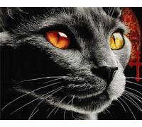 Kitquiver Rug Kits for Adults Latch Hook Pre Printed Cat 15X20In/52X38Cm DIY Crochet Yarn Embroidery Handmade Needlework with Printed Canvas for Home Decoration