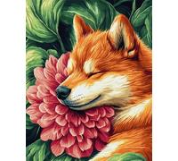 Kitquiver Rug Making Kits for Adults Latch Hook Shiba Inu and A Giant Flower Crafts Crochet Yarn with Pre-Printed DIY Handmade Embroidery Needlework for Home Decoration 35''X46''