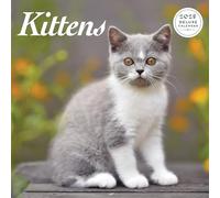 Kitten 2025 Deluxe Calendar