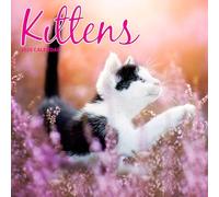 Kitten 2025 Traditional Calendar