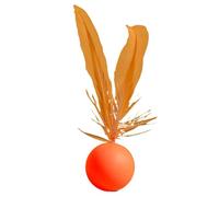 Kitten Ball Toy - Ball Toy with Feather | Durable Flexible Chew So-proof Toy Resistant Jump Width for Cat Playtime, Interactive Pet Activity Accessory | Stable Capture