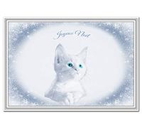 Kitten Christmas Card in different languages - Cute Cat - Luxury Quality cards (Joyeux Noël - French)
