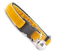 Kitten Collars for Kittens and Small Cats Safety Buckle Ginger Marmalade Orange Velvet Cool Cat Collar