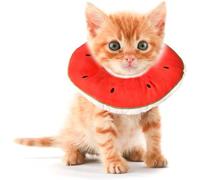 Kitten Cones after Surgery 0-6 Months, Donut Extra Small Kitten Cone Collar Soft to Stop Licking Neck, Elizabethan Kitten e Collar for Recovery, xs Small Cat Cone Spray, Pet Soft Cone for Cats