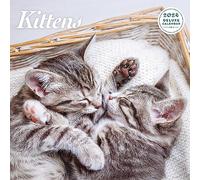 Kitten Deluxe 2024 Calendar