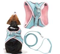 Kitten Harness and Lead Set - Robust Service Cat Vest, Adjustable Hiking Equipment, Comfortable Multifunctional Training Accessories, Cat Vest Wiring Harness for Night Days, Outdoor Adventure