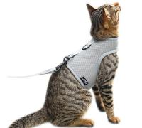 Kitten Harness and Leash Escape Proof Breathable Mesh Fabric Adjustable Padded Stylish Harness Solid Grey S