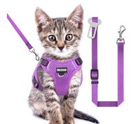 Kitten Harness and Leash Seat, The Upgrade Can be Adjusted in Four Directions and Breathable Cat Harness for Anti Escape That can be Fitted and Positioned, Reflective Strips Harness, Purple,XXS