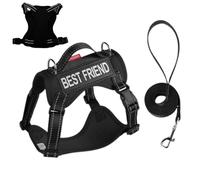 Kitten Harness - Soft Mesh Harness Vest Outfit for Kittens, Safety Gear for Walking the Cat That Won't Pull, Lightweight Pet Belt for Outdoor Use Refl