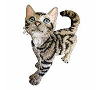 Kitten Iron On Or Sew On Motif