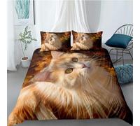 Kitten King Size Duvet Cover Set Cute Pets Bedding Double Bed Set 3D Print Soft Comfort Microfiber Quilt Cover 220x230 cm with Zipper Closure and 2 Pillowcases j.2068
