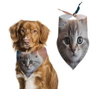 Kitten Lying on Carpet Dog Bandana Triangle Dog Scarf Washable Polyester Dog Bibs Cute Pet Bandana for Medium Large Dogs Puppy and Cats