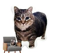 Kitten Pillow - Internet Celebrity Cat Stuffed Cushion, Cute Plush Kitten Stuffed Toy for Sofa, Bedroom, Bed, Car, Living Room, Soft Decorative Throw Pillow for Kids, Teens, and Cat Lovers