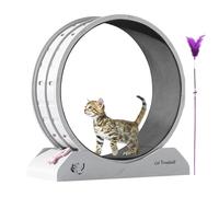 Kitten Running Wheel - Exercise Wheel for Pets | Complete Setup Kitten Training Team Quiet Safety Safety with Teaser | Pet Exerciser