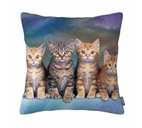 Kitten Series Cute Cat Pillowcase Square Zippered 18 X 18 Inches Pillow Case Cover Cotton Linen