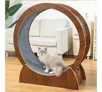 Kitten Toys, Cat Wheel Exercise Treadmill, Quiet Small Medium Large Treadmill Toy/Cat Scratching Board, Safety Anti-Pinch Silent Running - Cats Weight Losing Device,L