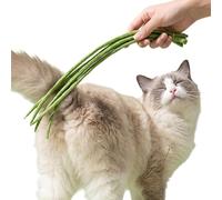 Kitten Toys Realistic Soft Sponge Funny