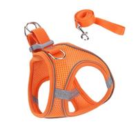 Kitten Walking Vest - Soft Pet Vest Collar with Reflective , Portable Dog Puppy Harness Safe for Training and Daily Travel | Safety Supplies a