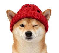 Kitten Winter Hat - Knit Cap, Ear-Friendly Holes with Stretchable Fabric, Soft Plush Lining for Gentle Fit, Pet Hat Supplies for Indoor Outdoor Adventures Birthday Celebration Walks Home Travel C