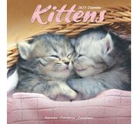 Kittens 2027 Calendar | Square Wall Calendar | Cat Gift | Plastic Free Packaging | by Avonside Publishing