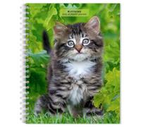Kittens 2025 6 x 7.75 Inch Spiral Bound Wire-O Weekly Engagement Planner Calendar New Full-Colour Image Every Week