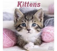 Kittens Calendar 2025 Square Cats Wall Calendar - 16 Month 9781804604397 NEW