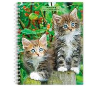 Kittens 2027 6 X 7.75 Inch Spiral-Bound Wire-O Weekly Engagement Planner Calendar New Full-Color Image Every Week