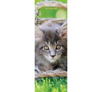 Kittens 2027 Slim Calendar
