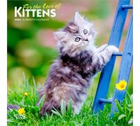 For the Love of Kittens | 2026 7 x 14 Inch (Hanging) Monthly Mini Wall Calendar | BrownTrout | Animals Cats Feline