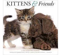 Kittens & Friends Calendar 2025