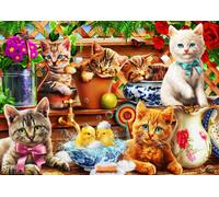 Kittens in the Potting Shed