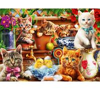 Kittens in the Potting Shed