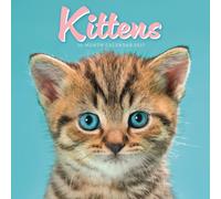 Kittens Mini