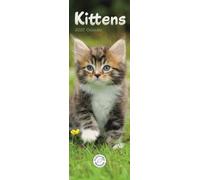 Kittens (PFP)Slim