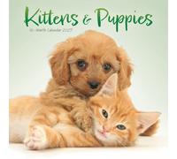 Kittens & Puppies Mini