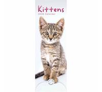 Kittens Slim Calendar 2026, Wall Calendars, Month To View, Cats, Gift