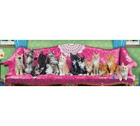 Kitty Cat Couch