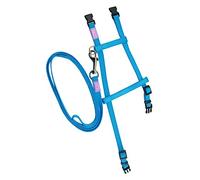 Kitty & Co Nylon Adjustable Cat Harness & Lead Set Assorted 9mm X30-40cm
